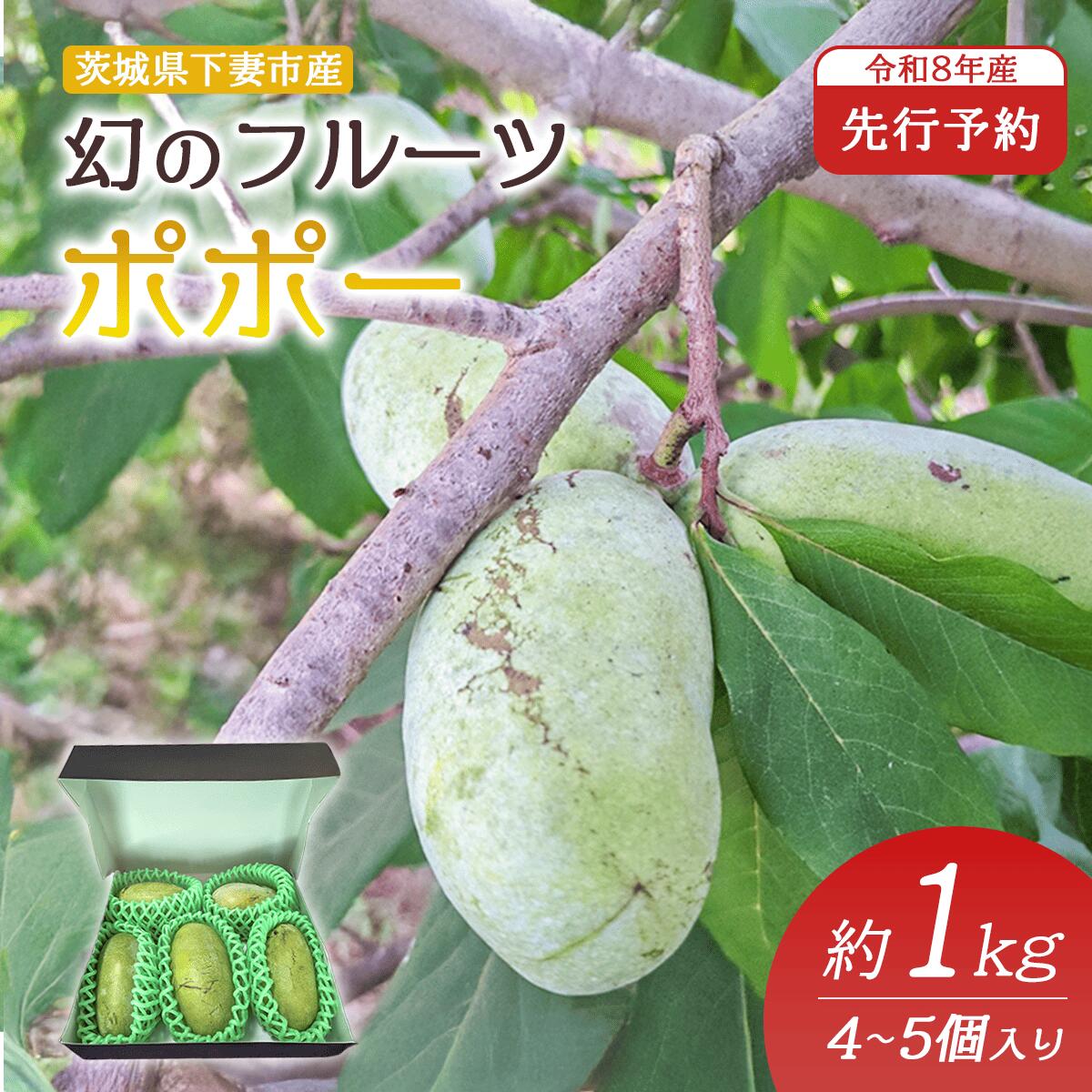 【ふるさと納税】ポポー 約1kg 4～5個 果物 フルーツ 果実 幻の果物 幻のフルーツ スイーツ 甘い 森のカスタードクリーム クリーミー 【先行予約】 幻のフルーツ ポポー 約1kg 4~5個【 2026年8月下旬 ～ 9月中旬発送予定 】