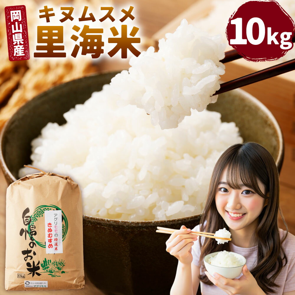 【ふるさと納税】令和7年産 里海米（キヌムスメ） 10kg お米 米 白米 精米 単一原料米 ごはん ご飯 岡山県産 国産 岡山県 美咲町 送料無料 【2025年10月上旬から2026年9月下旬発送予定】