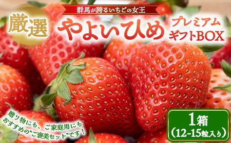 厳選 やよいひめ　プレミアムギフトBOX　1箱 ｜ いちご 大粒 高糖度 果物 フルーツ 苺 イチゴ くだもの 新鮮 朝採れ 朝どれ ギフト プレゼント 贈り物 国産 群馬県 伊勢崎市 ※北海道・沖縄・離島への配送不可 ※2026年1月上旬～4月下旬頃に順次発送予定