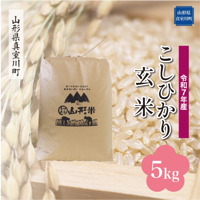 ＜令和7年産米＞ こしひかり 【玄米】 5kg （5kg×1袋） 配送時期指定できます！ 山形県真室川町