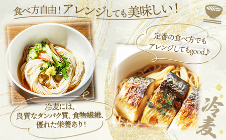 チホク小麦生ひやむぎ 20食セット ※お届け：7月中旬～9月下旬まで