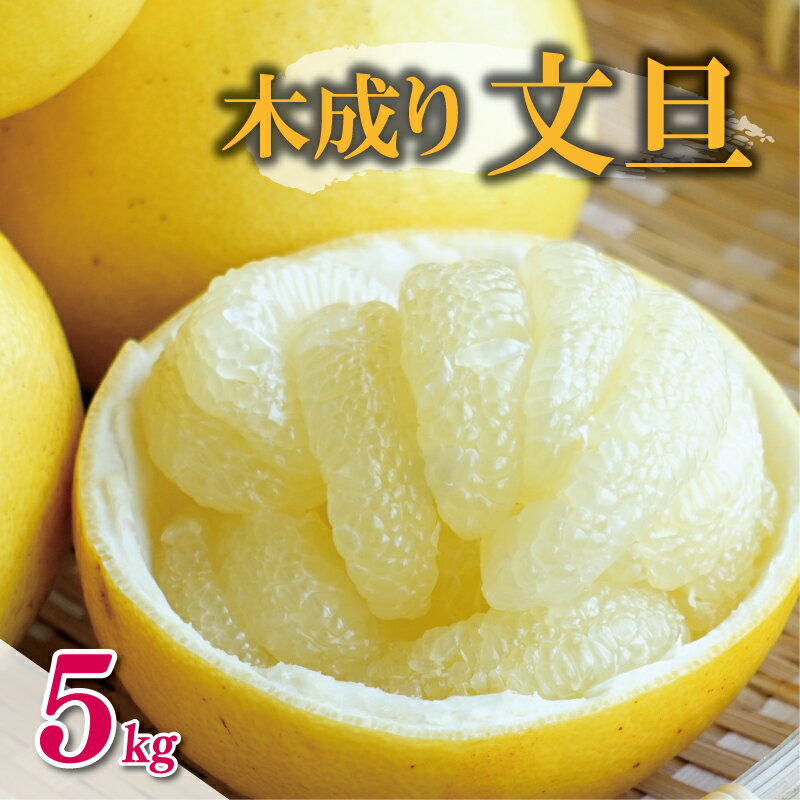 【ふるさと納税】 数量限定 先行受付 木成り 文旦 5kg 7000円 ぶんたん 国産 産地直送 農家直送 特産品 ギフト プレゼント ゼリー ジュース アイス 等に 人気 限定 甘い フルーツ 果物 柑橘 美味しい おいしい サイズ ミックス 岡平農園 愛南町 愛媛県
