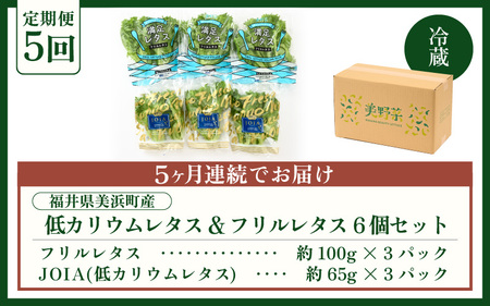 定期便 ≪5ヶ月連続お届け≫ 低カリウムレタス&フリルレタス　計6個セット 全5回 【福井県美浜町産】【野菜 生野菜 レタス サラダ サンドイッチ お弁当 水耕栽培 洗わず食べられる 時短 付け合わせ