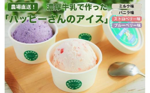 
            ハッピーさんのアイス ４種類１２個入り アイスクリーム カップ スイーツ あいす セット ギフト プレゼント 贈り物 夏 ミルク バニラ ストロベリー ブルーベリー  農場直送 冷凍 岩手県 岩手町　
          