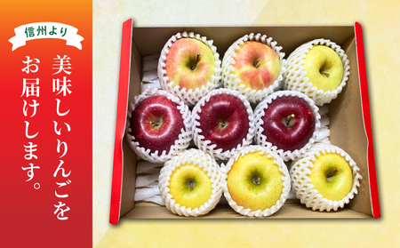 【飯島りんご園】旬の色々りんごの詰め合わせセット　3kg（2～3種）※10月中旬～順次発送