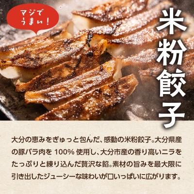 ふるさと納税 大分市 モチモチすぎるニラ子の米粉ぎょうざ 大分県産豚肉・にら100%使用 10個入り3パック_A02037 |  | 02