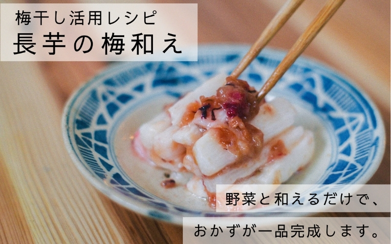 【梅ボーイズ】無添加 紀州南高梅の梅チューブ140g×6本セット（塩・紫蘇）天日塩使用 umehkr021