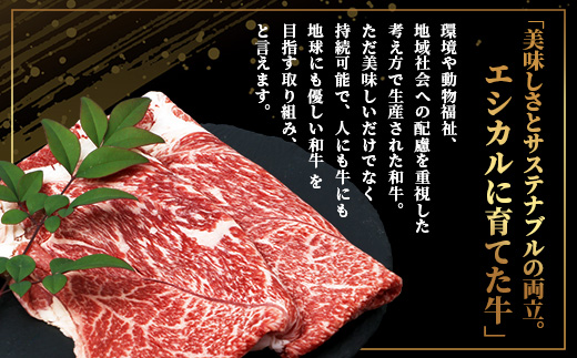 【エシカル和牛】くまもとあか牛【あか牛の極み】カタ薄切り 200g×3 (計 600g) 肩 ロース 小分け 熊本 あか牛 牛肉 赤身 すき焼き しゃぶしゃぶ 焼肉 和牛 国産 SDGs 033-05