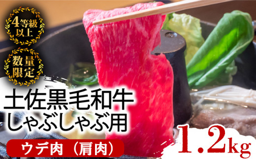 【6回定期便】土佐黒毛和牛 食べ比べ 6060g (計6kg以上) | Qコース 厳選 国産 和牛 すき焼き しゃぶしゃぶ ステーキ 焼き肉 お肉 にく 霜降り 牛肉 ウデ肉 うで肉 モモ肉 もも肉 
