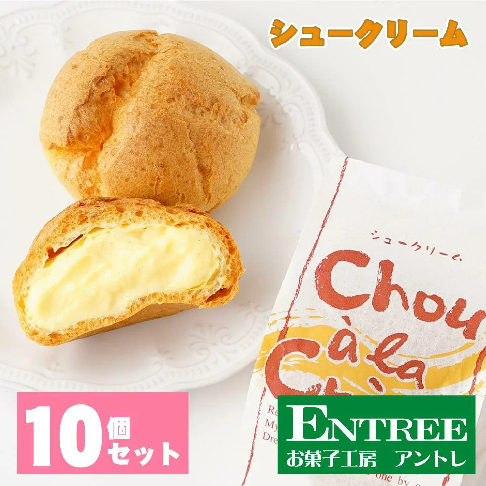 
シュークリーム10個セット【074D-031】
