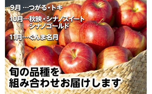 【数量限定】≪9月中旬～順次発送≫ 飛騨リンゴ 3kg（7～12玉入り）おまかせ２品種 食べ比べ | 果物 りんご リンゴ 林檎 フルーツ 旬 飛騨高山 ぜんぞう果樹園 FX001