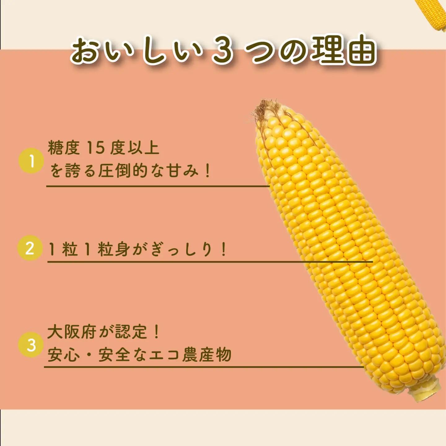とうもろこし 8本 トウモロコシ