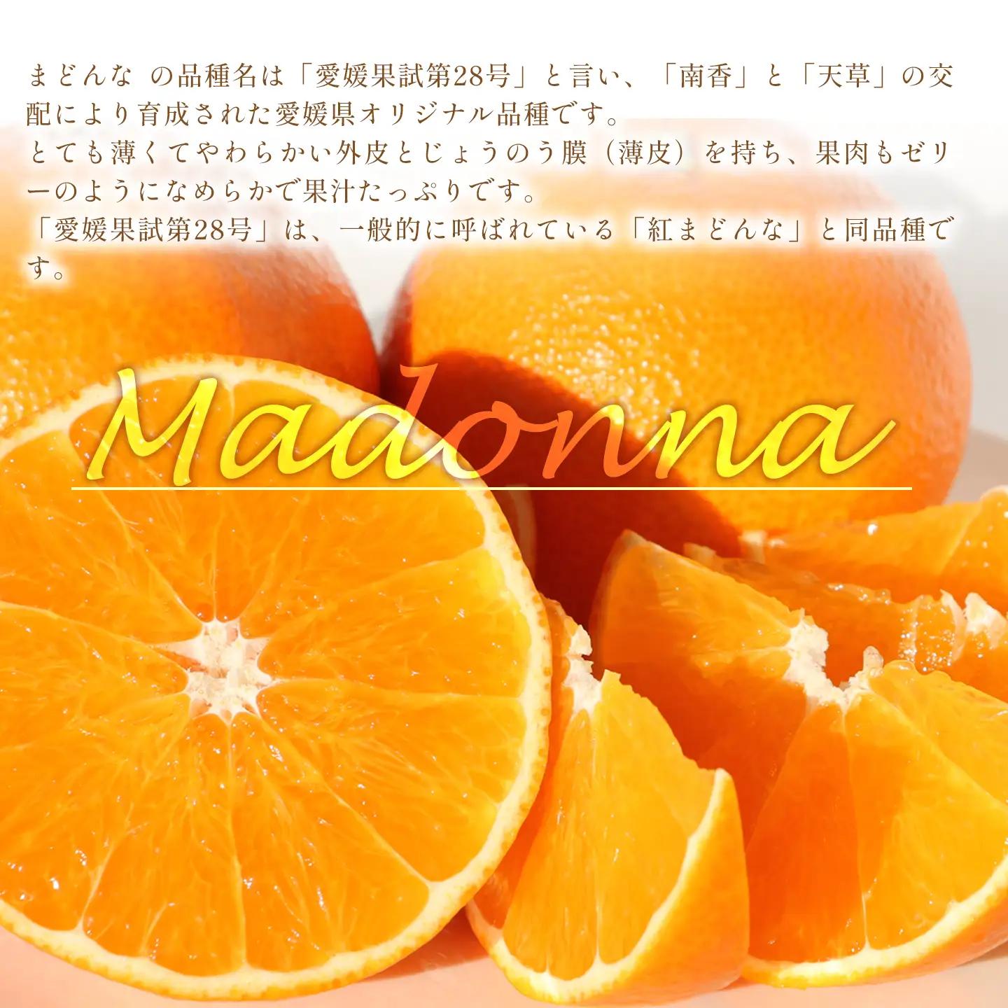 まどんな 約3㎏【秀品･化粧箱（L～4L）8～15個入】｜あいか 紅まどんなと同品種