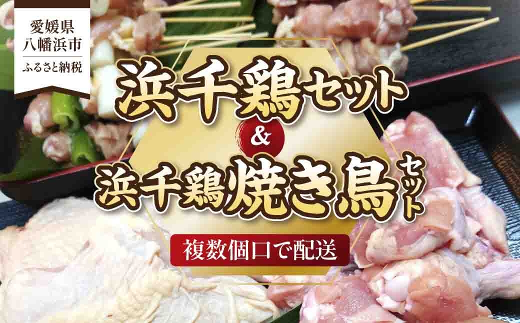 
                  浜千鶏セット・浜千鶏焼き鳥セット＜F29-3＞＜複数個口で配送＞【4011838】 YWTD003
                