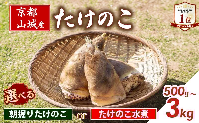 
            【京都山城産】 たけのこ 選べる( 朝掘りたけのこ / たけのこ水煮 ) 缶詰 筍 竹の子 白子筍 京都 山城 産 京たけのこ 国産 京野菜 野菜 国産 炊き込みご飯 煮物 小分け まとめ買い 常温保存 井手町
          