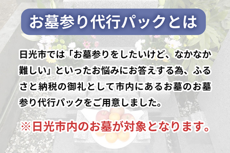 ふるさと日光安心サポート お墓参り代行パック 年間2回【プロのお墓掃除と耐震検査無料サービス付き】 [0522]
