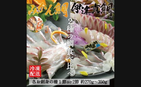 みかん鯛 & 伊達真鯛 270g~350g 刺身 食べ比べ 宇和島プロジェクト  刺身 みかん 蜜柑 柑橘  刺身 人気 刺身 真鯛 刺身 鯛 刺身 マダイ 刺身 タイ お刺身 お刺し身 刺し身  冷