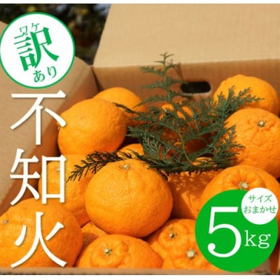 【訳あり】不知火(しらぬい・しらぬひ) 約5kg (農家お助けサイズおまかせ)【デコポンと同品種】【配送不可地域：離島・北海道・沖縄】【1484259】