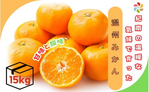 
                  紀南の温暖な気候で育った田辺の温州みかん 15kg※11月下旬～12月下旬頃に順次発送予定【期間限定・先行予約・12/10まで】 / 田辺市 みかん 温州みかん【mry015-2】
                