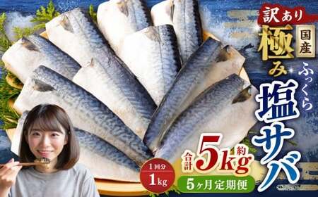 【5ヶ月定期便】【訳あり】国産 ふっくら 極み塩サバ 計約1kg ／ 1切れ 塩サバ 塩さば 塩鯖 さば サバ 鯖 魚