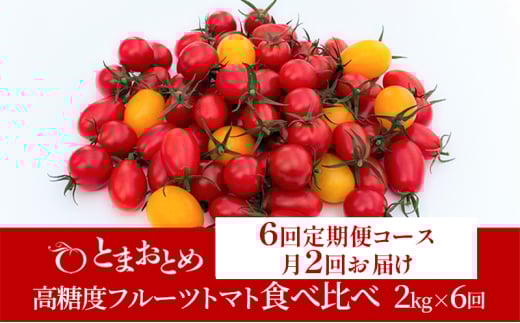 【 定期便 月2回 計6回 】 栃木県 鹿沼産 高糖度 フルーツトマト ”とまおとめ” 食べ比べ 2kg×6回 野菜 トマト カキヌマファーム とまおとめ アイコ フルティカ アルル イエローアイコ 濃厚 甘み 旨み 入手困難 鹿沼市 [№5840-2791]　※2026年1月中旬～5月下旬頃に順次発送予定