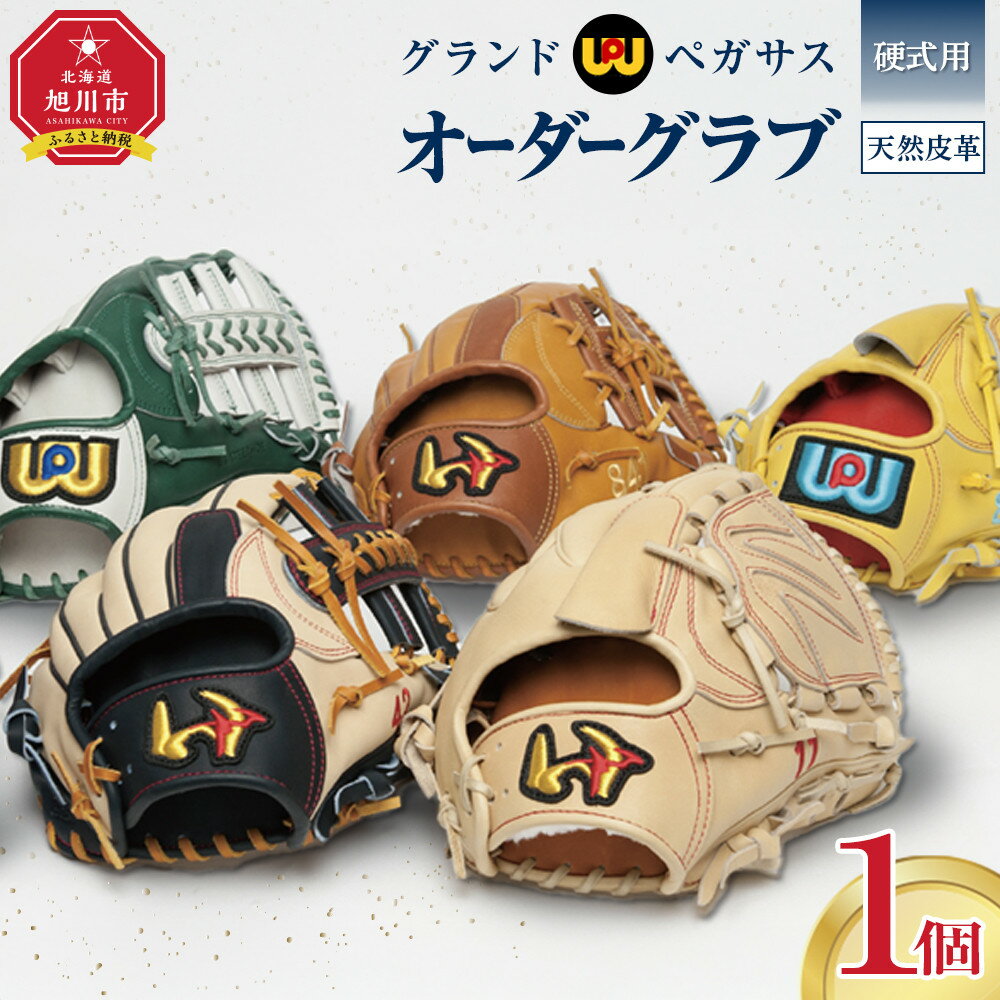 【ふるさと納税】硬式用グランドペガサスオーダーグラブ 【 野球 グローブ 野球用品 オーダーメイド オーダー オーダーグローブ 北海道 旭川市 】_05058