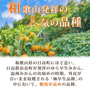 紀州和歌山有田産 ゆら早生みかん 5kg【ミカン 蜜柑 柑橘 温州みかん わせみかん】_G7097