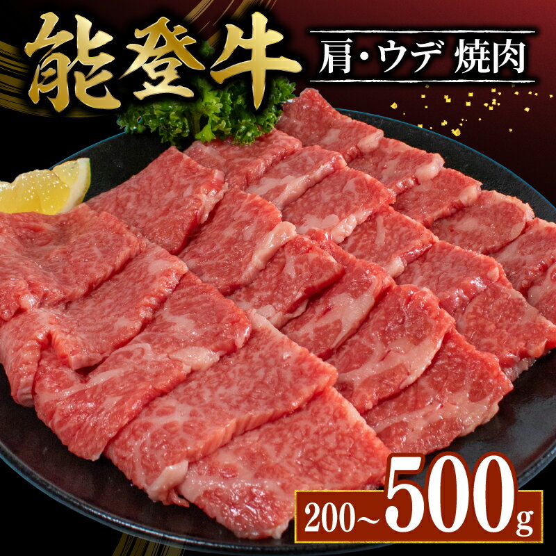【ふるさと納税】 黒毛和牛 肩 うで 焼肉用 能登牛 500g 300g 200g ギフト 選べる容量 小分け とろける 食感 希少 ギフトボックス 贈答 プレゼント ブランド 和牛 国産 肉 冷凍 石川 羽咋 能登 国産 能登半島 牛 牛肉 焼肉 焼き肉 炒め物 にも 災害支援 復興支援