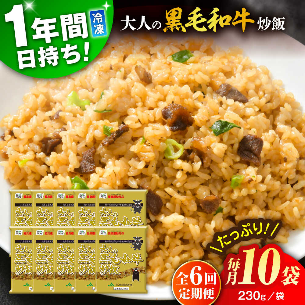 【ふるさと納税】【全6回定期便】熊本県産 こだわり炒飯 大人の黒毛和牛炒飯 計2.3kg (230g×10) 冷凍食品 米飯 和牛 チャーハン 黒毛和牛 牛肉 チャーハン 惣菜 冷凍 中華 中華総菜 冷凍チャーハン 九州 熊本県 菊陽町 特産品【ユーユーフーズ株式会社】[BHCS020]