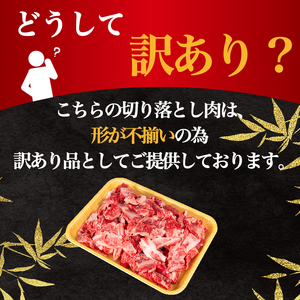近江牛1kg 切り落とし [E506_N1_07]近江牛