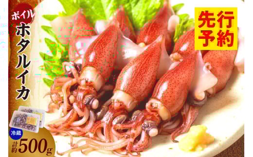 【先行予約】【ほたるいか 鮮度抜群 ボイル 小分け 250g×2パック 500g 酢味噌付 兵庫県産 冷蔵】令和8年3月以降順次発送予定 生ほたるいかを水揚げ後すぐにボイル その日のうちに発送 新鮮さが際立ち、冷凍からの茹で上げとは艶が全く違います 熟練の職人が絶妙な塩加減で茹上げ 兵庫県はホタルイカ水揚げ日本一 いか 香美町 香住 しゃぶしゃぶ ふるさと納税 モリタ食品 6000円 10-13