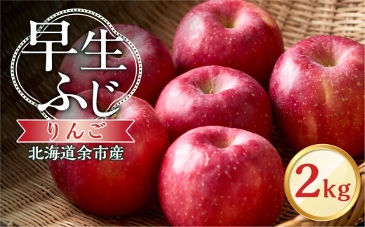 【先行予約：2026年10月中旬より発送】りんご（早生ふじ）2kg【北海道余市町産】