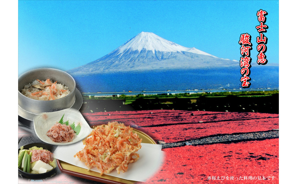 静岡の海鮮・海産物(魚介類)　駿河湾の海の幸　生桜えび×2　セット 【配送不可：離島】