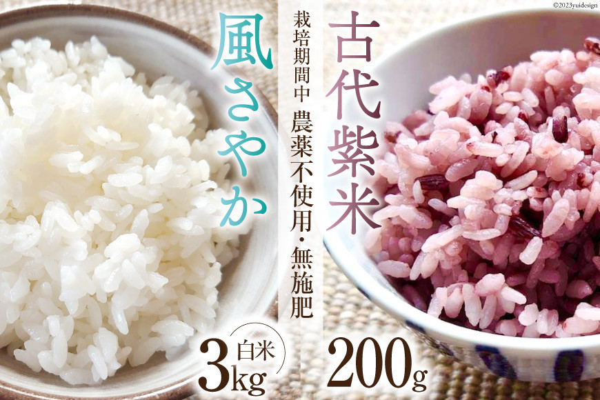 
                  米 令和7年 風さやか 白米3kg & 古代紫米 200g セット [森の土・あづみ野ファーム 長野県 池田町 48110534] お米 コメ こめ 精米 白米 ご飯 ごはん 古代米 玄米 雑穀米 国産 
                