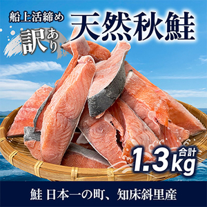 【先行受付】【訳あり】知床斜里産 天然秋鮭の切り身 約1.3kg 船上活締め【配送不可地域：離島・沖縄県】【1430538】