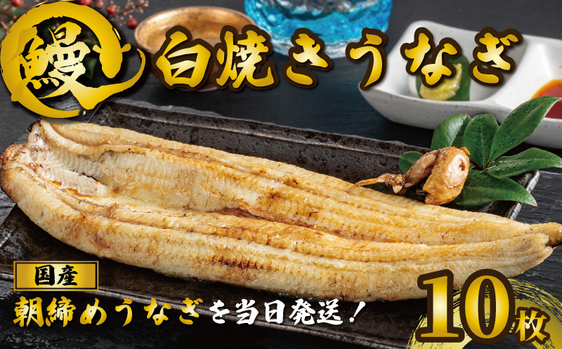 
国産うなぎ 白焼き 10枚 約120g×10 うなぎ 鰻 白焼き 蒲焼 うな重 鰻丼 うな丼 ひつまぶし 土用の丑の日 土用丑 魚 海鮮 魚介類 肉 肝 レバー 冷蔵 おつまみ おかず 惣菜 酒 ビール 焼酎 日本酒 ウイスキー チューハイ お取り寄せ ギフト プレゼント 贈答 贈答用 贈り物 内祝い お中元 お歳暮 母の日 父の日 敬老の日 千葉県 銚子市 有限会社石毛川魚店
