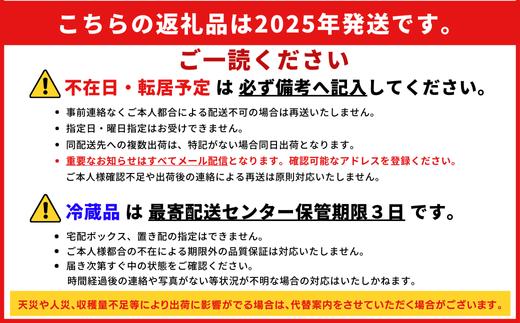 【2025年4-5月発送】春獲れ一番！極甘くんじゃんこーん　ホワイト（8本）とうもろこし コーン 沖縄産 約3kg 春 獲れ 野菜 生 甘い 白 沖縄 国頭村