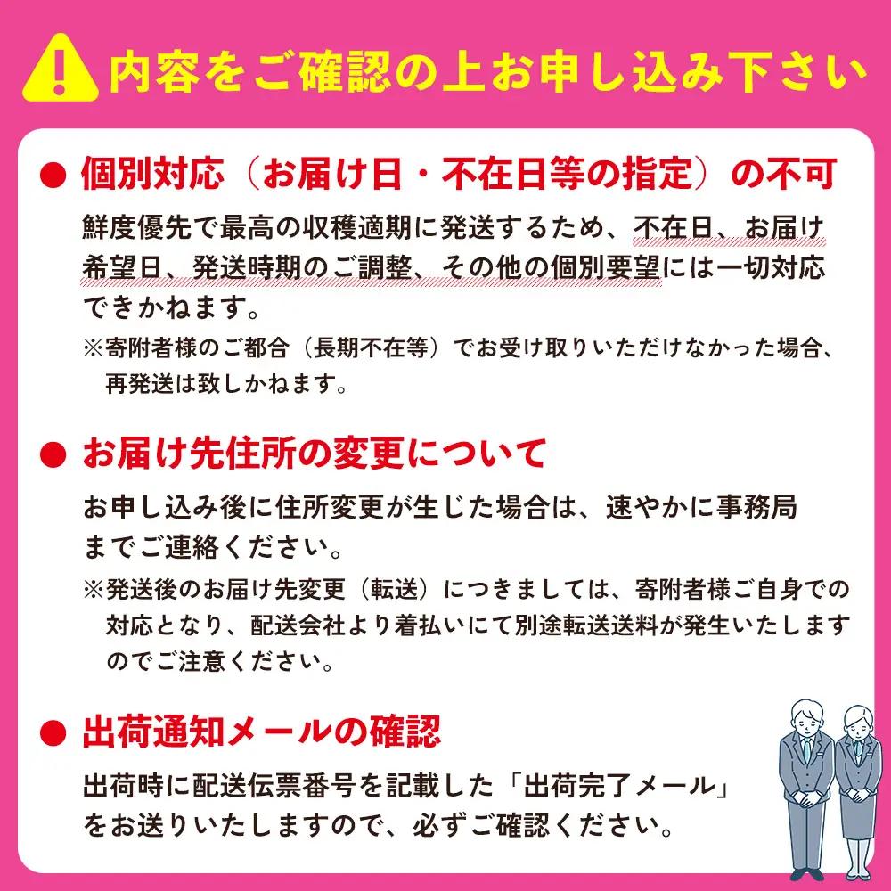 2027年発送【75マンゴー生産部会】 75（名護）マンゴー　約1kg