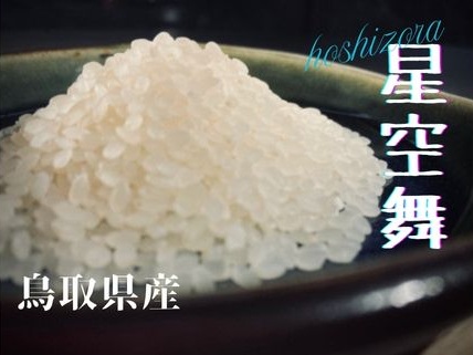 【令和6年産】星空舞（ほしぞらまい）5kg×1袋 精米  R6 JA こめ コメ 5キロ 0225