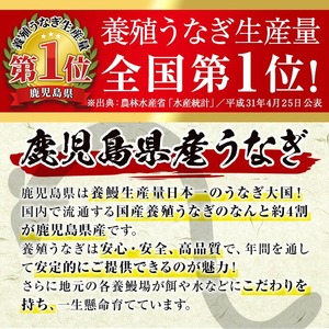 無投薬！鹿児島県産うなぎ蒲焼カット(計300g以上・約50g×6枚) タレ・山椒付き カット鰻 鰻 カット【西日本養鰻】A734