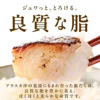 ふるさと納税 泉佐野市 銀鱈 西京漬け 80g×10切れ 小分け 訳あり サイズ不揃い kgp0097 |  | 01