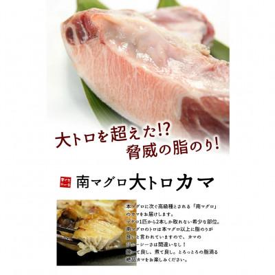 ふるさと納税 いわき市 マグロ大トロカマ　約1kg　滴るほどの脂のり!塩焼き・煮付け・BBQに　解凍レシピ付き |  | 01