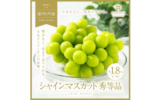 ＜2026年発送分先行予約＞山梨県南アルプス市産シャインマスカット　秀等品　約1.8ｋｇ　3～5房 ALPAH017