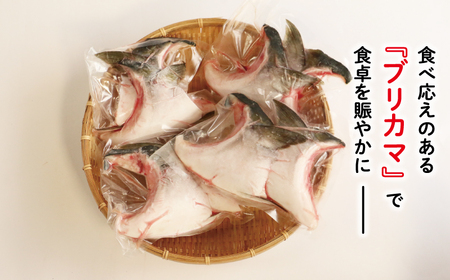 ブリカマ 2切れ × 4パック 10000円 冷凍 サイズ 不揃い ぶりかま ぶりカマ 鰤かま 少額 食べ物 旬 お手軽 魚海鮮 魚介 父の日 小分け 真空 パック 新鮮 鮮魚 養殖 国産 鰤 ぶり 