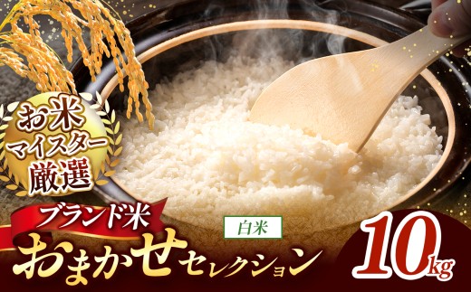 【 新米予約 】令和8年産 おまかせ セレクション 熊本県産 白米  ＜ひのひかり / 森のくまさん / くまさんの輝き ＞ 10kg 単品 | 単一銘柄 米 単一米 お米 こめ 小分け 人気 コメ お米 5kg 10kg 15kg 20kg 25kg 30kg ブランド米 菊池川流域 家庭用 送料無料 熊本 くまもと 熊本県 和水 和水町 人気 ごはん