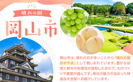 【定期便 3回】岡山銘菓 定期便（大手まんぢゅう・廣榮堂 元祖きびだんご・卵娘庵のカステラ）