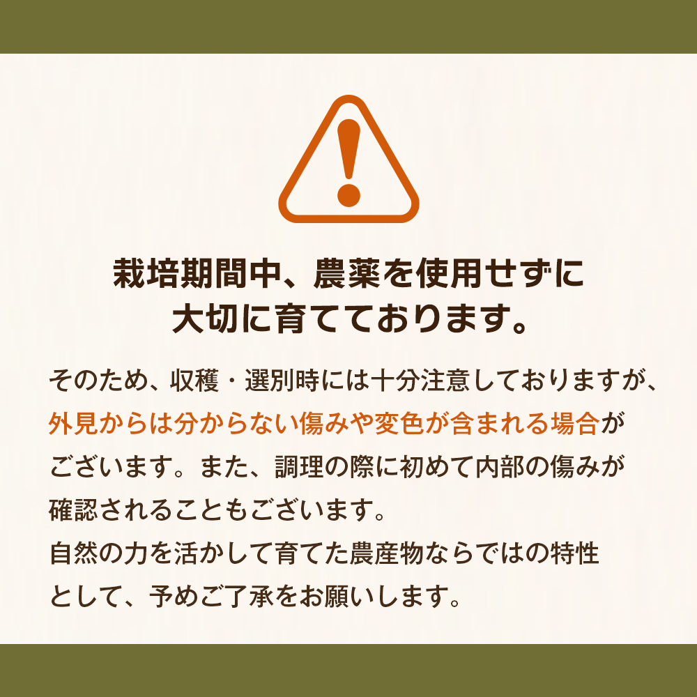 淡路島玉葱 10kg 【栽培期間中、無農薬栽培】サイズ混合SS～2L 玉ねぎ