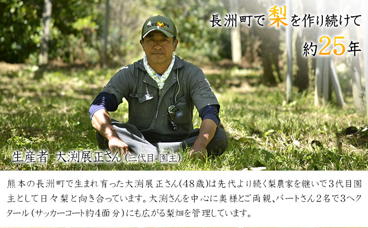 大渕観光梨園の完熟梨 (あきづき 新高梨 新興梨) 秀品 約3kg (5～8玉) 《8月下旬-11月下旬頃出荷》---sn_obuchinasi_p811_21_8000_3kg---st-p