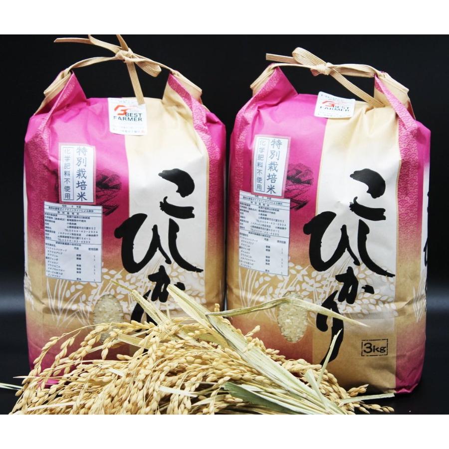 【令和7年産新米】山梨県都留市産　こしひかり3kg×2