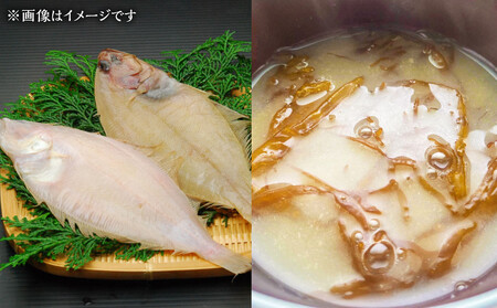 カネオ成栄丸のおまかせお魚BOX 美海(5種） ｜ お魚 お魚 お魚 お魚 お魚 